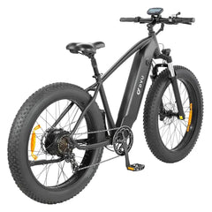 DYU King 750 - Ebikes DiscountUS